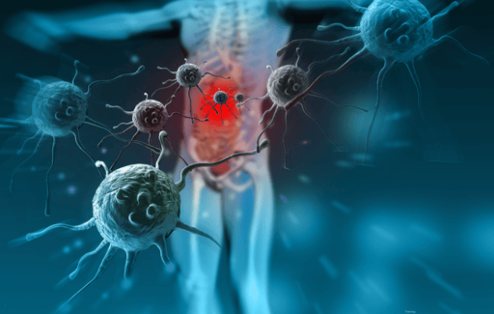 Odporność i zdrowie